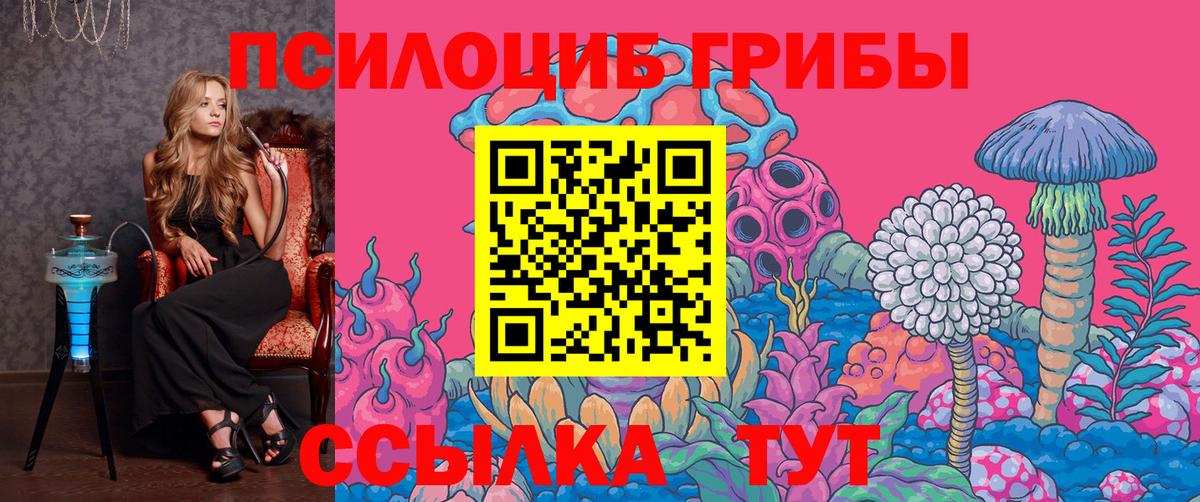 Галлюциногенные грибы Psilocybine cubensis  Вход с VPN  Люберцы 