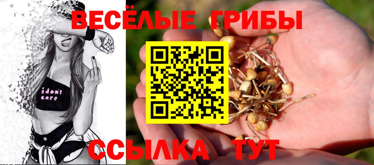 Псилоцибиновые грибы ЛСД Люберцы